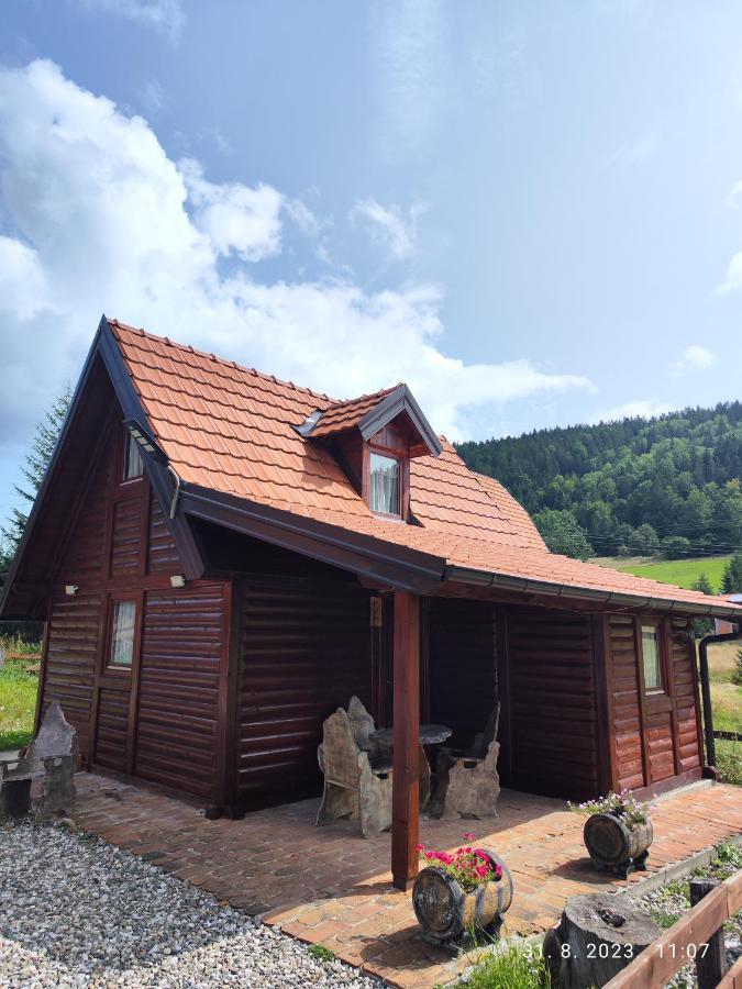 Vila Carobna Suma Tara Bajina Basta Exterior foto