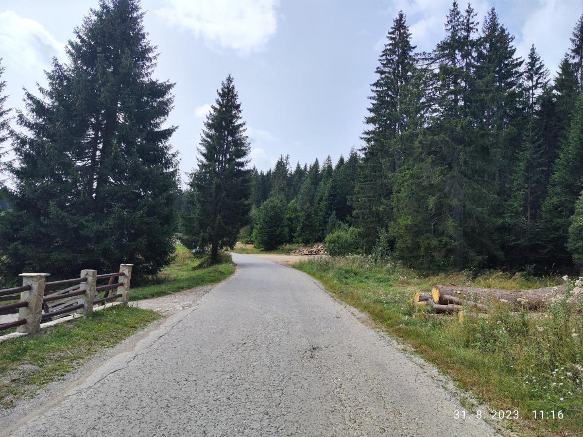 Vila Carobna Suma Tara Bajina Basta Exterior foto